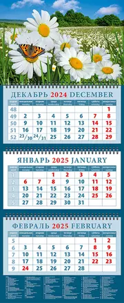 Календарь квартальный 2025г 320*760 "Ромашки и бабочка" настенный, трёхблочный, спираль — 3053487 — 1