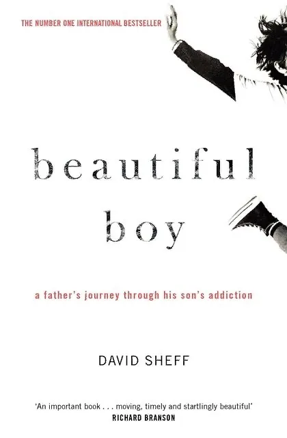 Книга Beautiful Boy (Дэвид Шефф) — 1