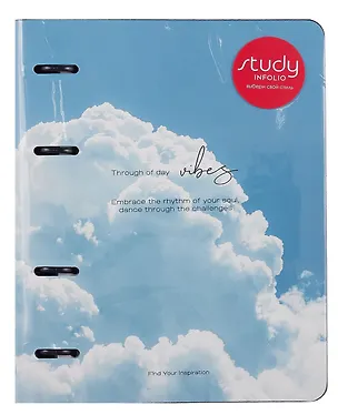 Тетрадь 120л кл. "Sky", облако, на кольцах, шелкография, обл. кож.зам 3085190