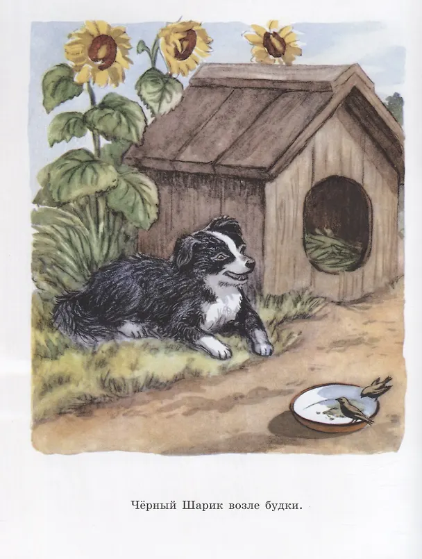 Книга Мой мишка. Лучшее детям. 2-5 лет (Зинаида Александрова) — 4