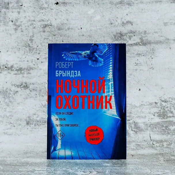 Книга Ночной Охотник (Роберт Брындза) — 7