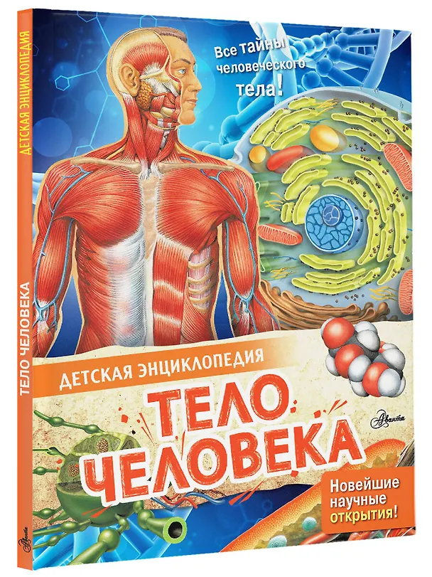 Книга Тело человека (Энн МакРей) — 4