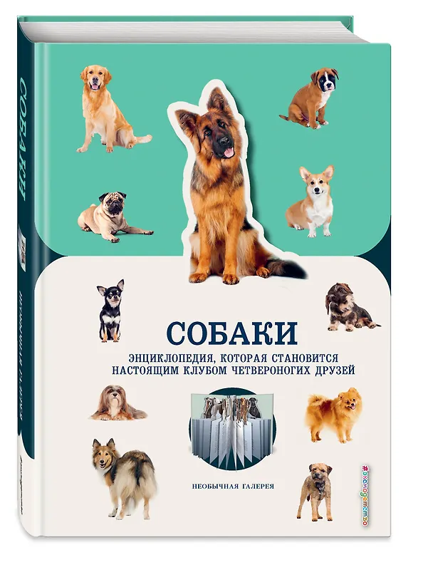 Книга Собаки (А. Конн) — 4