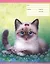 Тетрадь 12л кл. "Angel eyes.Волшебные котята" выб.лак., блестки, мел.картон,ассорти, Unnika — 228565 — 2