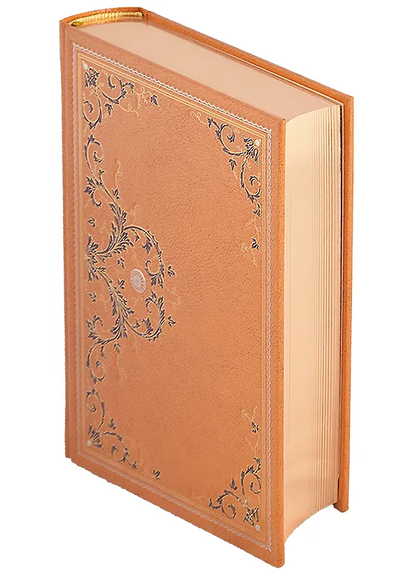 Книга Стрелки в Мексике () — 2