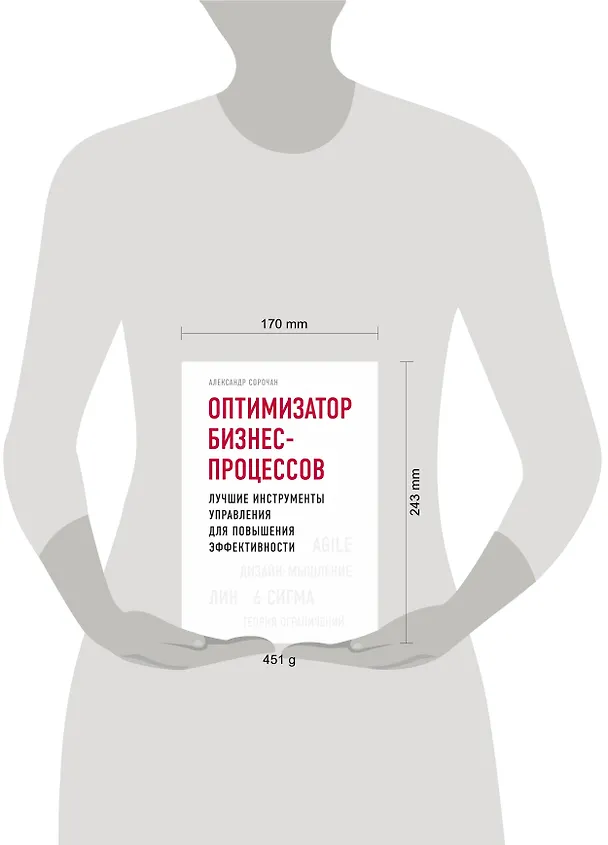 Книга Оптимизатор бизнес-процессов. Лучшие инструменты управления для повышения эффективности (Александр Сорочан) — 5