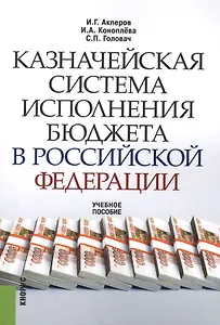 Казначейская система исполнения бюджета в Российской Федерации : учебное пособие