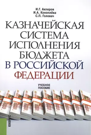 Казначейская система исполнения бюджета в Российской Федерации : учебное пособие — 2451632 — 1