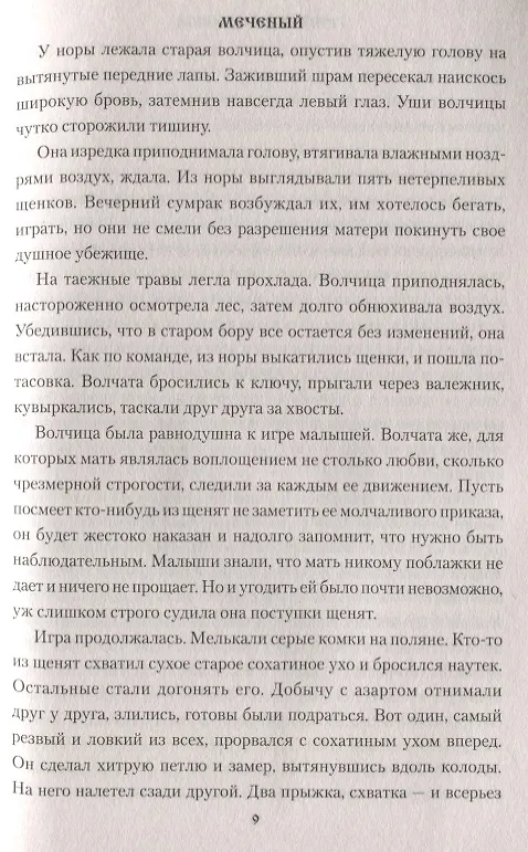 Книга Меченый (12+) (Григорий Федосеев) — 6