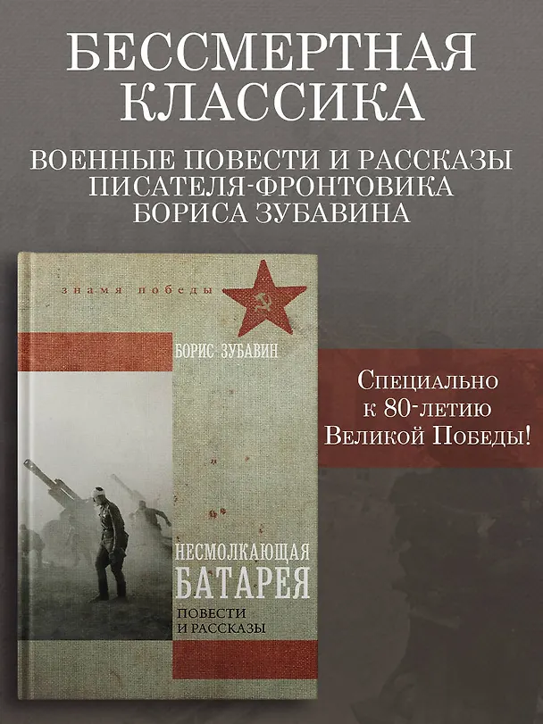 Книга Несмолкающая батарея (Борис Зубавин) — 5