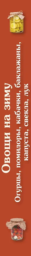 Книга Овощи на зиму : Огурцы, помидоры, кабачки, баклажаны, капуста, свекла, лук () — 3