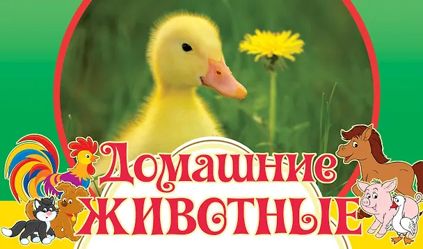 Книга Домашние животные (А. Жилинская) — 1