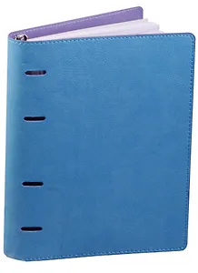 Тетрадь на кольцах в клетку Феникс+, 160 листов, голубой/сиреневый