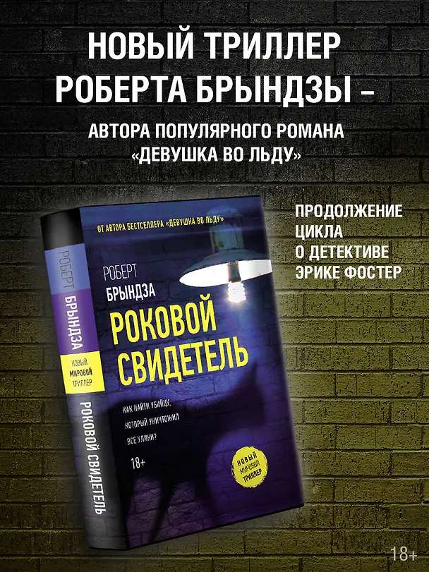 Книга Роковой свидетель (Роберт Брындза) — 6