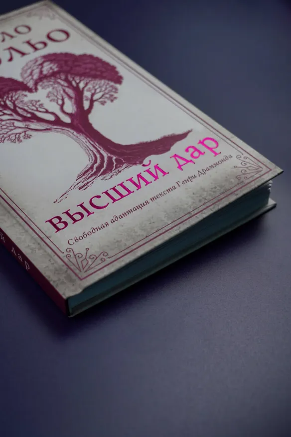 Книга Высший дар (Пауло Коэльо) — 10