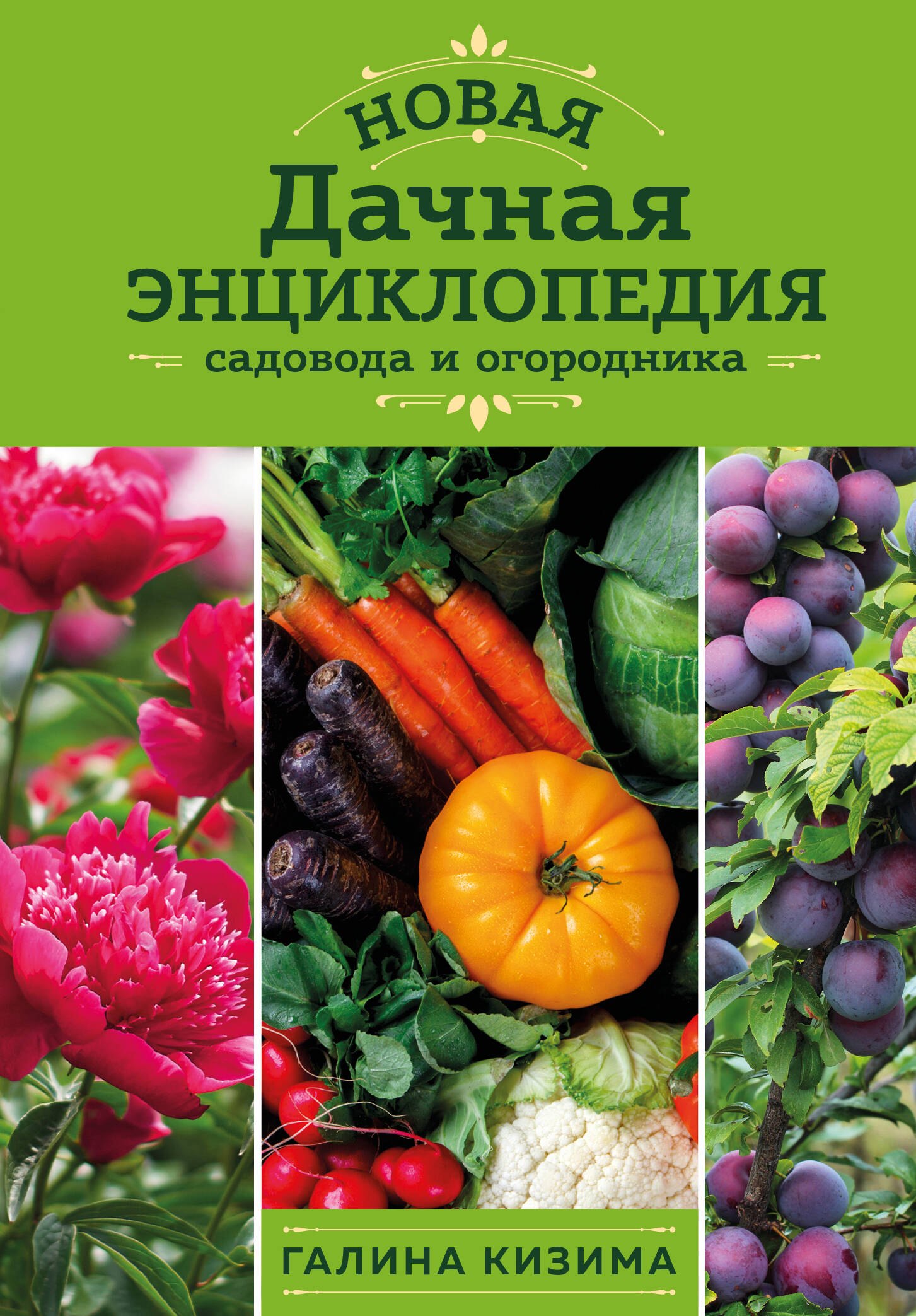 

Новая дачная энциклопедия садовода и огородника (новое оформление)