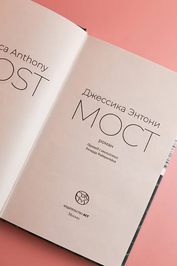 Книга Мост (Джессика Энтони) — 9