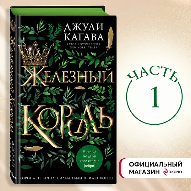 Книга Железный король (Джули Кагава) — 6