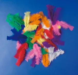 Набор перьев (60шт) (2470221) (упаковка) 2329846