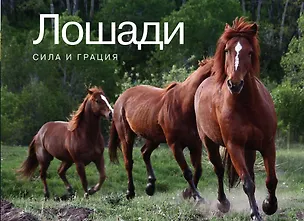 Книга Лошади. Сила и грация (Кристин Маффей)