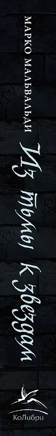 Книга Из тьмы к звездам. Невероятная история о том, как Галилей доказал вращение Земли, общался с папой римским и раскрыл убийство (Марко Мальвальди) — 4