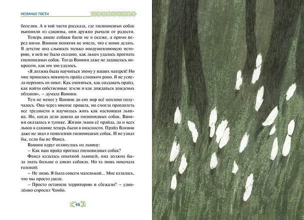 Книга Незваные гости (Ли Хён) — 15