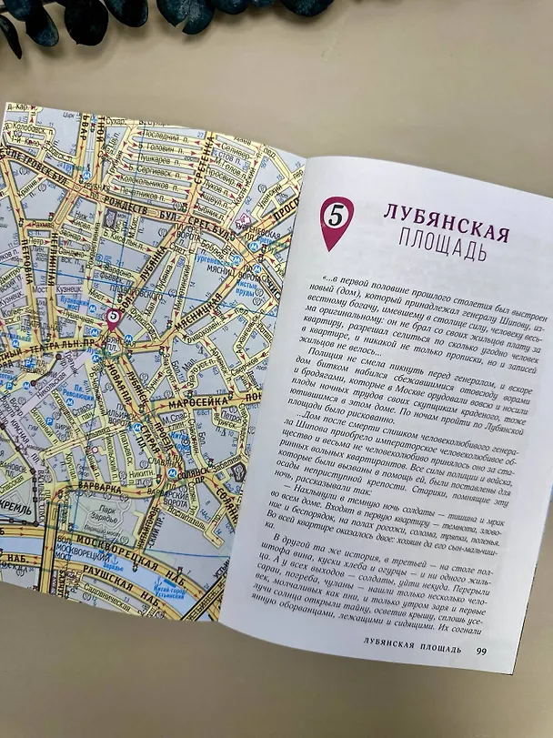 Книга Москва. Топ-10 знаковых площадей. История, маршруты, локации (Михаил Жебрак) — 11