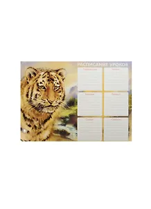 Расписание уроков А4 "ТИГР" мелов.картон, выб.лак, ассорти, Феникс