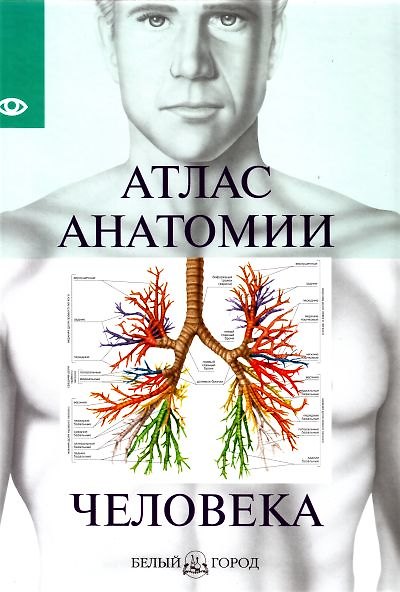 Книга Атлас анатомии человека () — 1