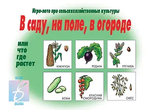 В саду, на поле, в огороде. Игра-лото