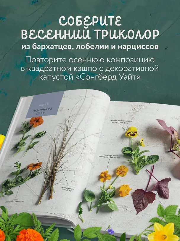 Книга Магия контейнерного сада. Цветочный дизайн террас, веранд, балконов, патио и маленьких садов (Лана Уильямс) — 8