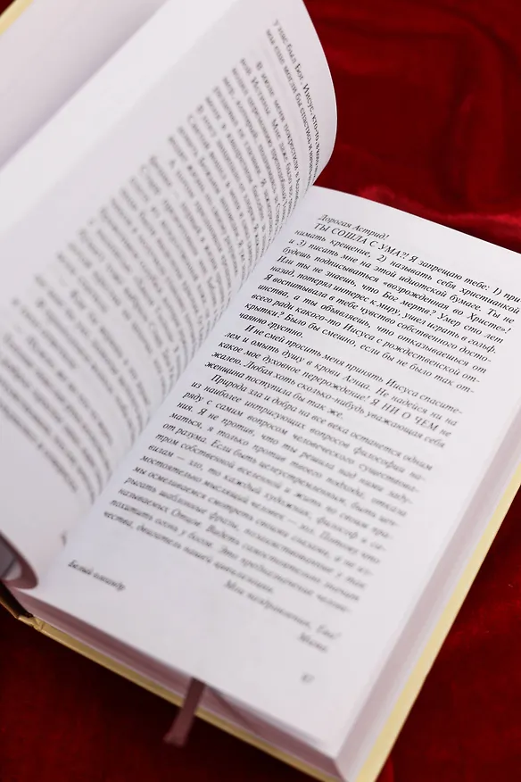Книга Белый олеандр (Джанет Фитч) — 9