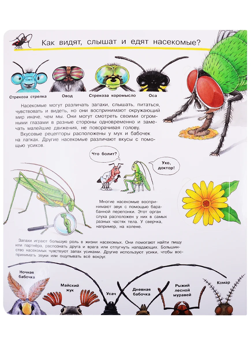 Что? Почему? Зачем? Все о насекомых (с волшебными окошками) - купить книгу  с доставкой в интернет-магазине «Читай-город». ISBN: 978-5-465-03918-5
