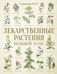 Лекарственные растения. Большой атлас