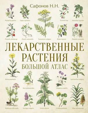 Книга Лекарственные растения. Большой атлас (Николай Сафонов)