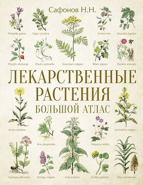 Лекарственные растения. Большой атлас