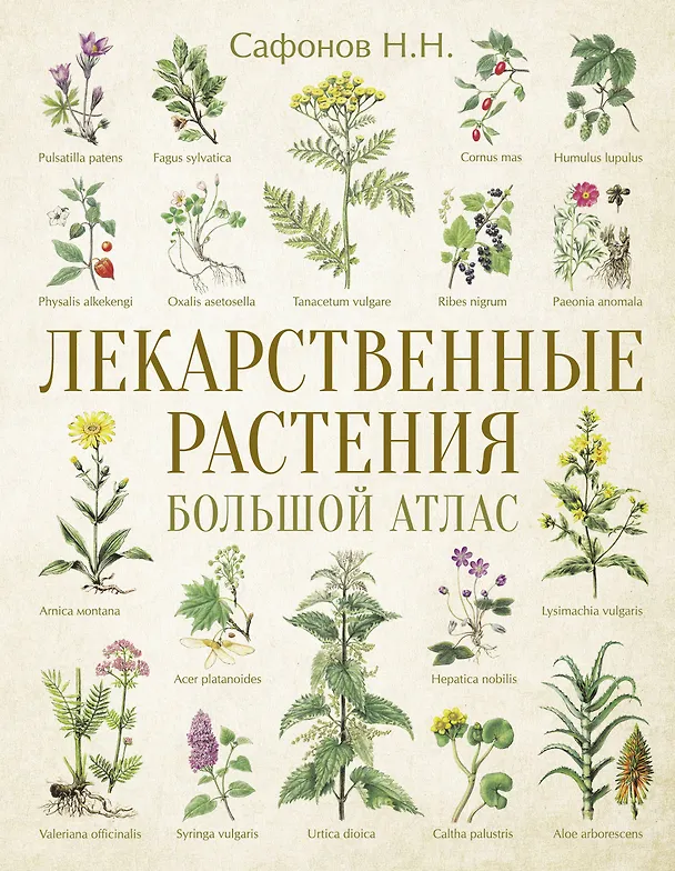 Книга Лекарственные растения. Большой атлас (Николай Сафонов) — 1