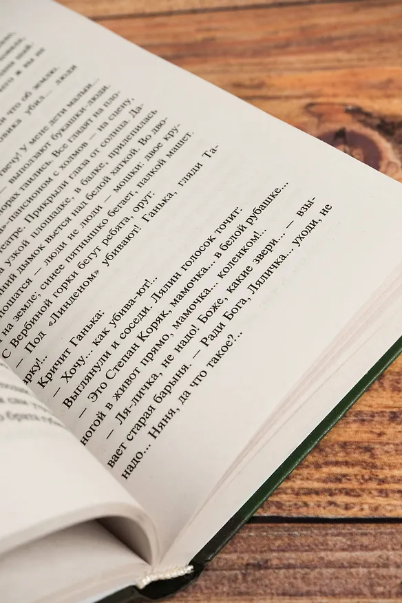 Книга Солнце мертвых (Иван Шмелев) — 10
