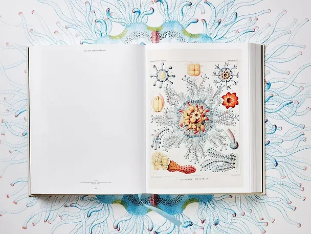 Книга The Art and Science of Ernst Haeckel (Джонатан Восс) — 3