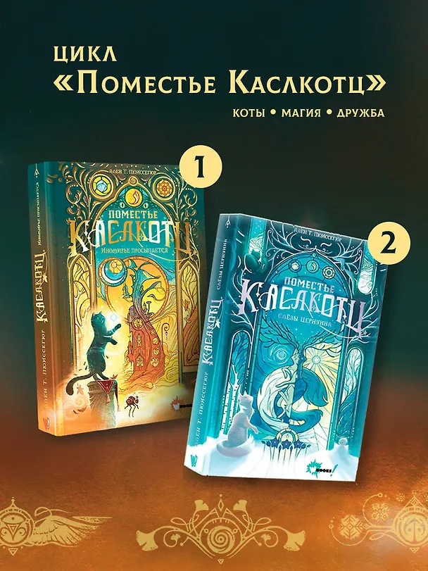 Книга Поместье Каслкотц. Иномирье просыпается (Ален Т. Пюиссегюр) — 10