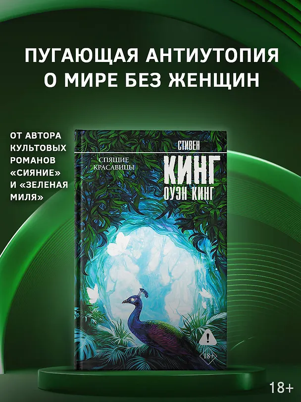 Книга Спящие красавицы (Стивен Кинг) — 4