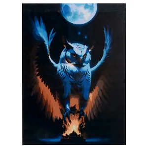 Холст с красками по номерам "Ночной полет", 30 х 40 см