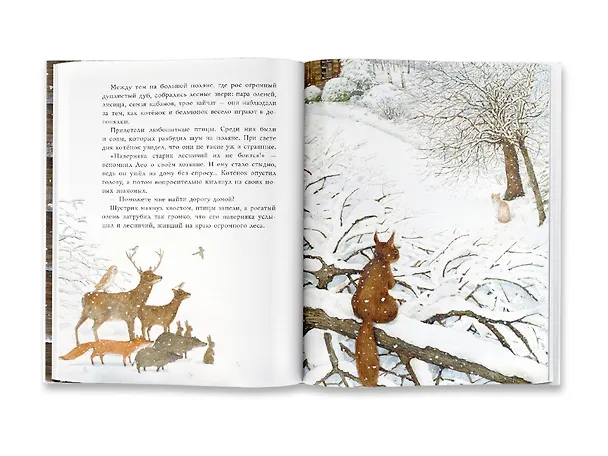 Книга Как котенок друга искал (Феридун Орал) — 10