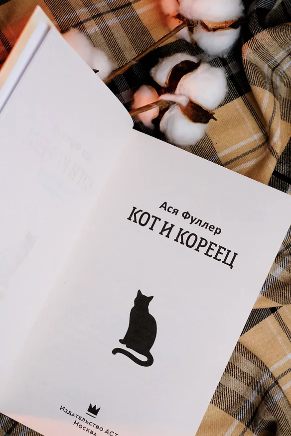 Книга Кот и кореец (Ася Фуллер) — 10