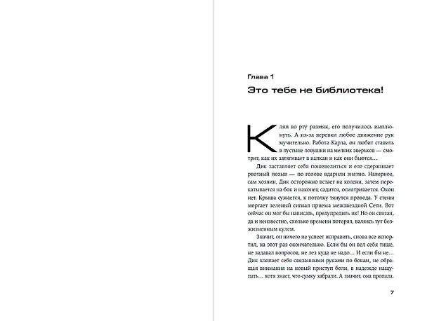Книга Bookship. Последний книжный магазин во Вселенной (Мария Закрученко) — 12