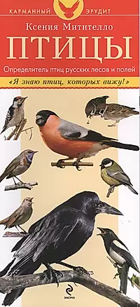 Птицы. Определитель птиц русских лесов и полей — 2410711 — 1