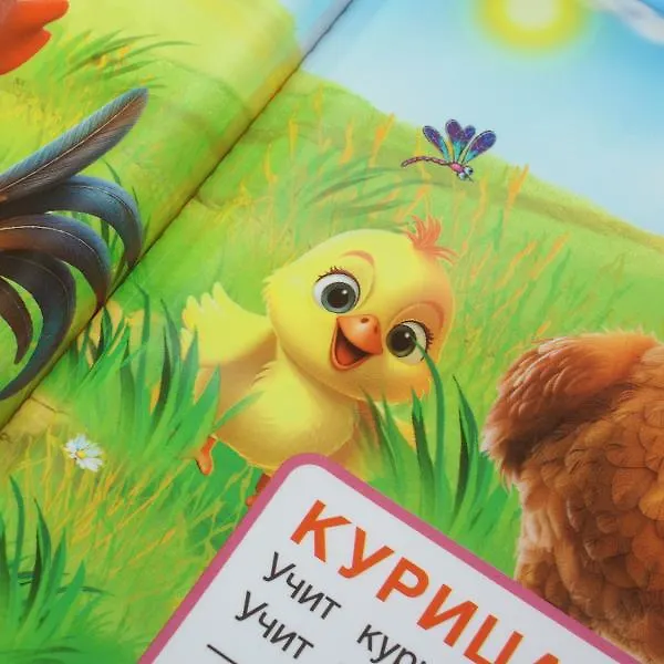 Книга Домашние животные. Книга-пищалка для ванны (Владимир Степанов) — 8