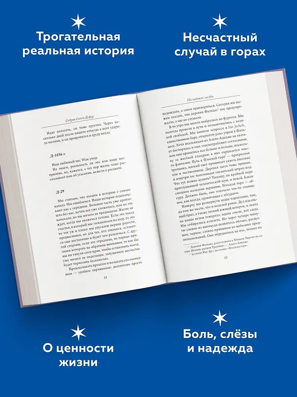 Книга Где падают звезды (Седрик Сапен-Дефур) — 5