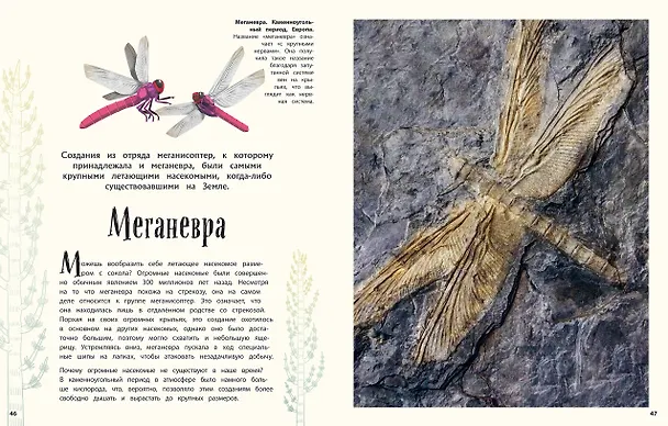 Книга Динозавры и другие доисторические животные. Энциклопедия (Анусия Чинсами-Тюран) — 8