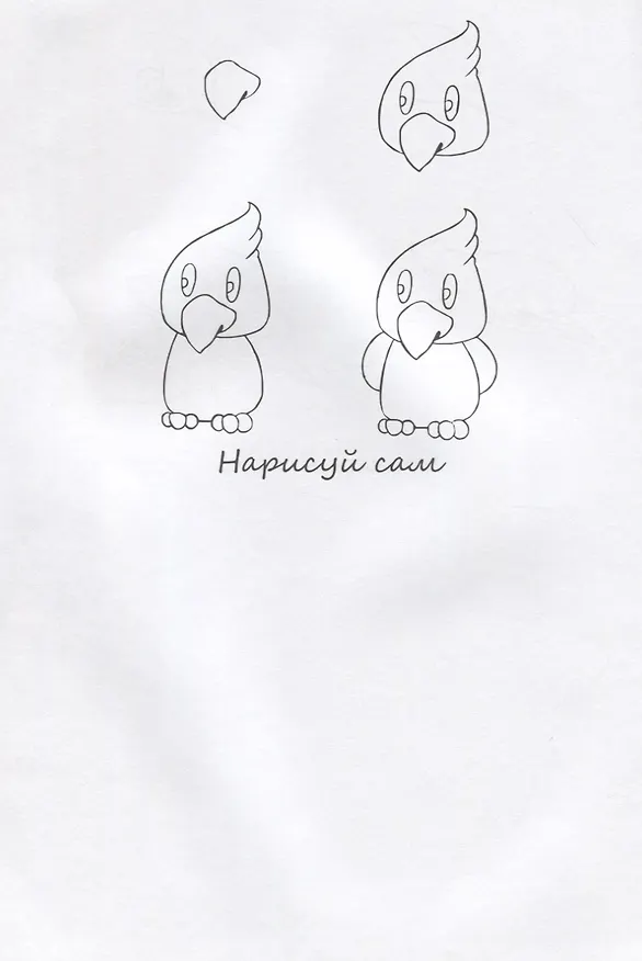 Книга Птицы НС-5-4 () — 3